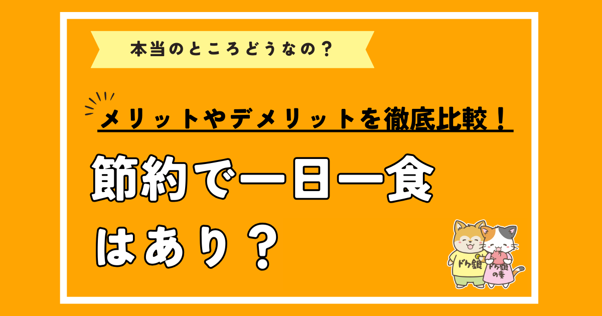 節約で一日一食はあり？